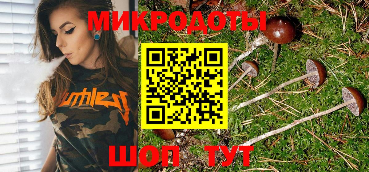 Городец  Галлюциногенные грибы MAGIC MUSHROOMS  Вход с VPN 